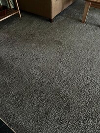 Carpet
