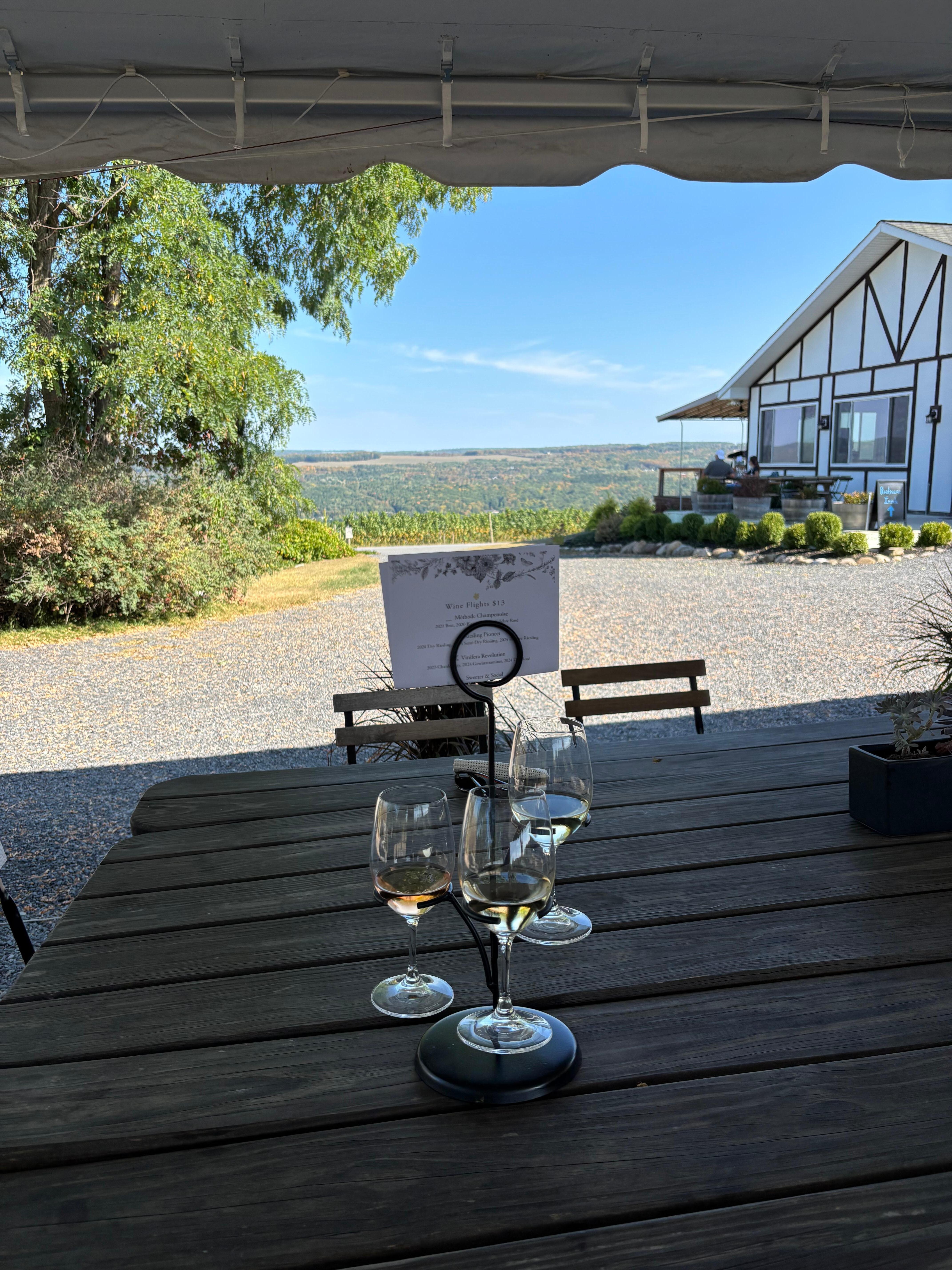 Wine flight at the winery