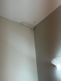 Bathroom in bedroom 2