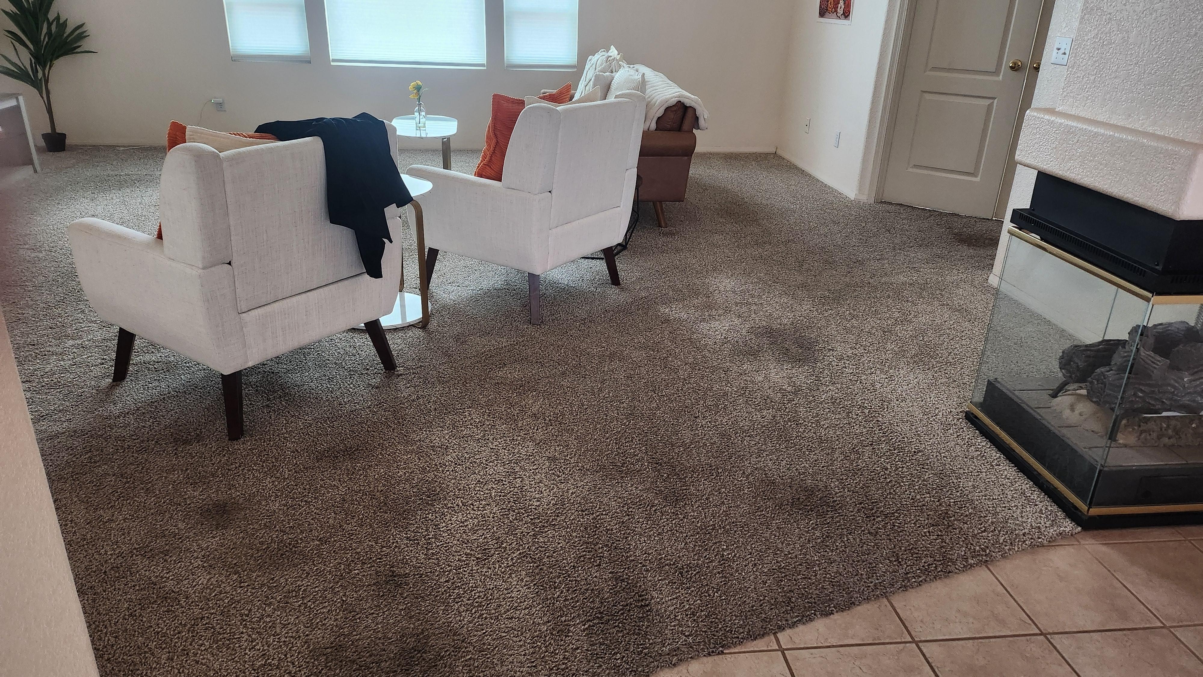 Carpet stains