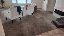 Carpet stains