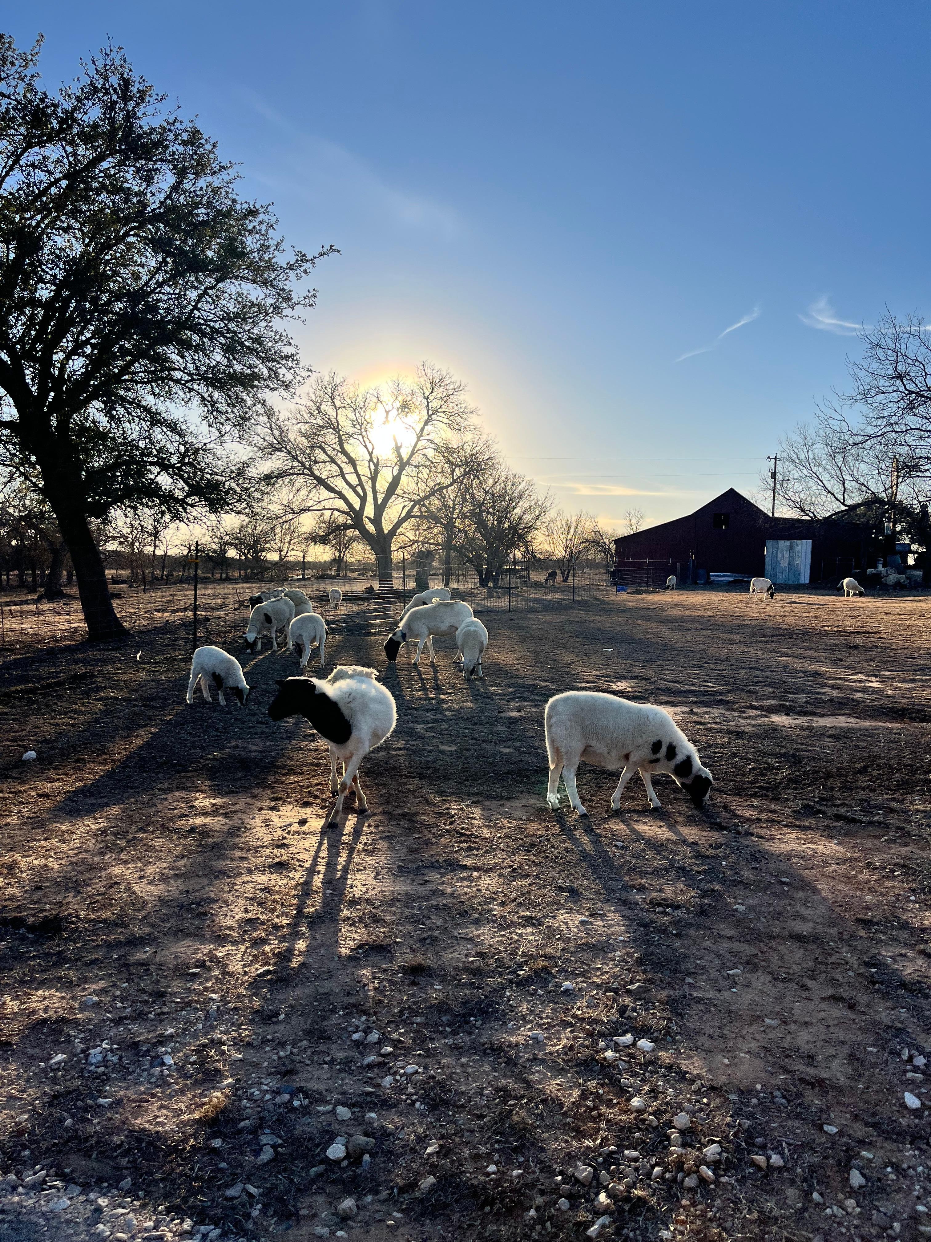 Such a pretty property 