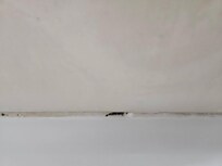 Mold