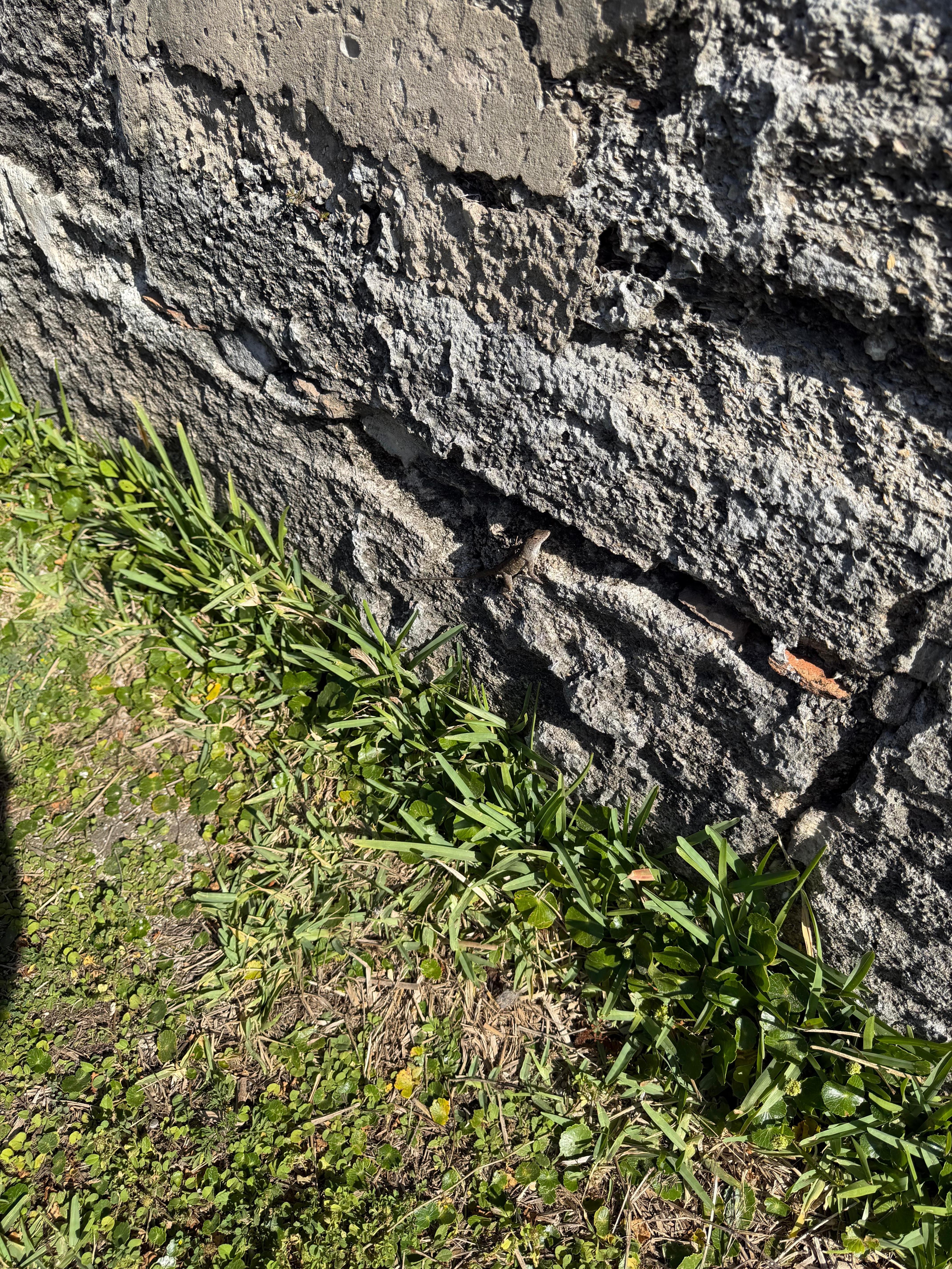 Perfect for coffee with great view of sunrise!