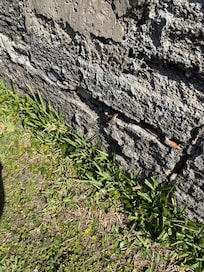 Perfect for coffee with great view of sunrise!