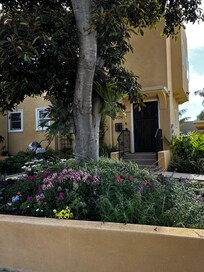 Front yard/entrance