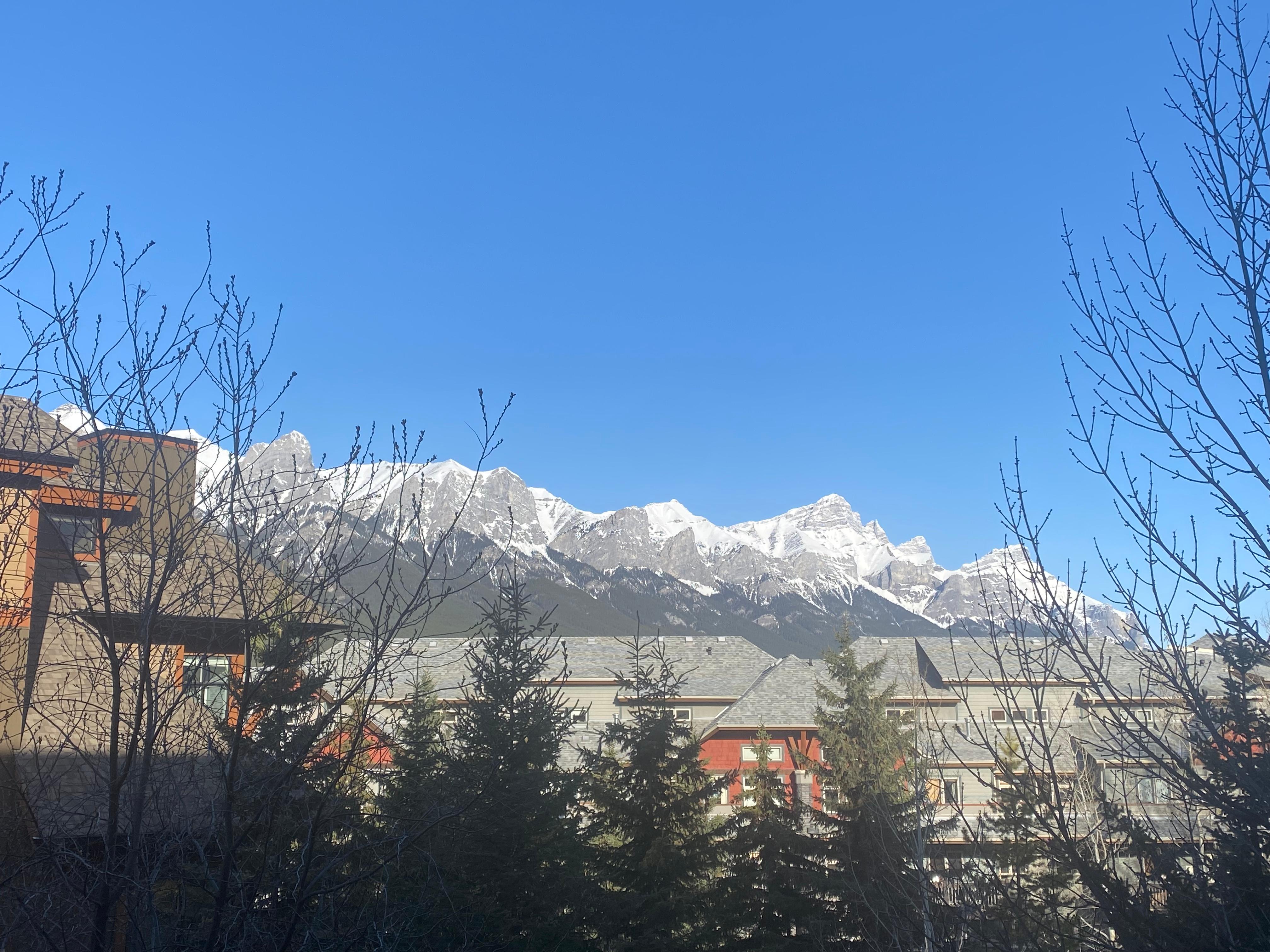 View from deck