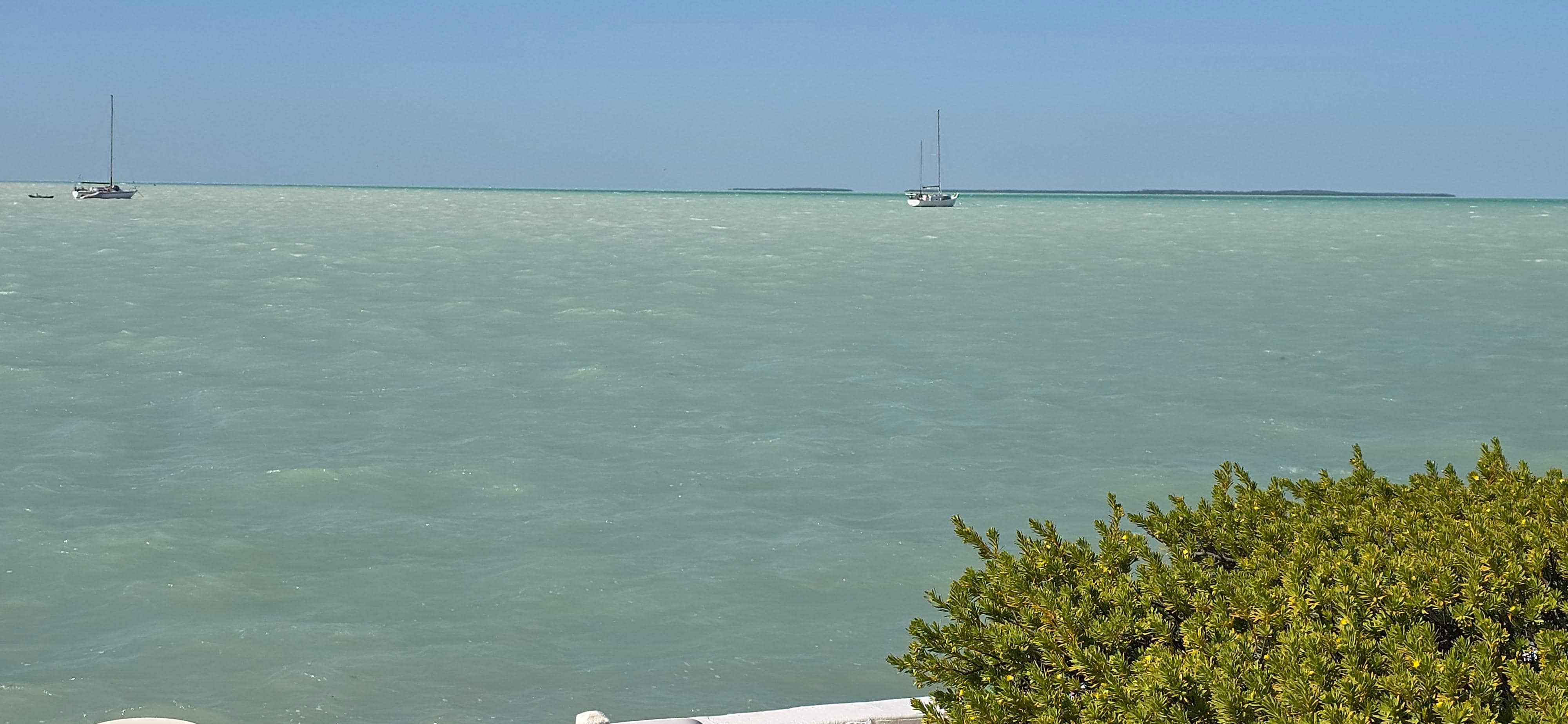 Very blue!  Even in bad weather!