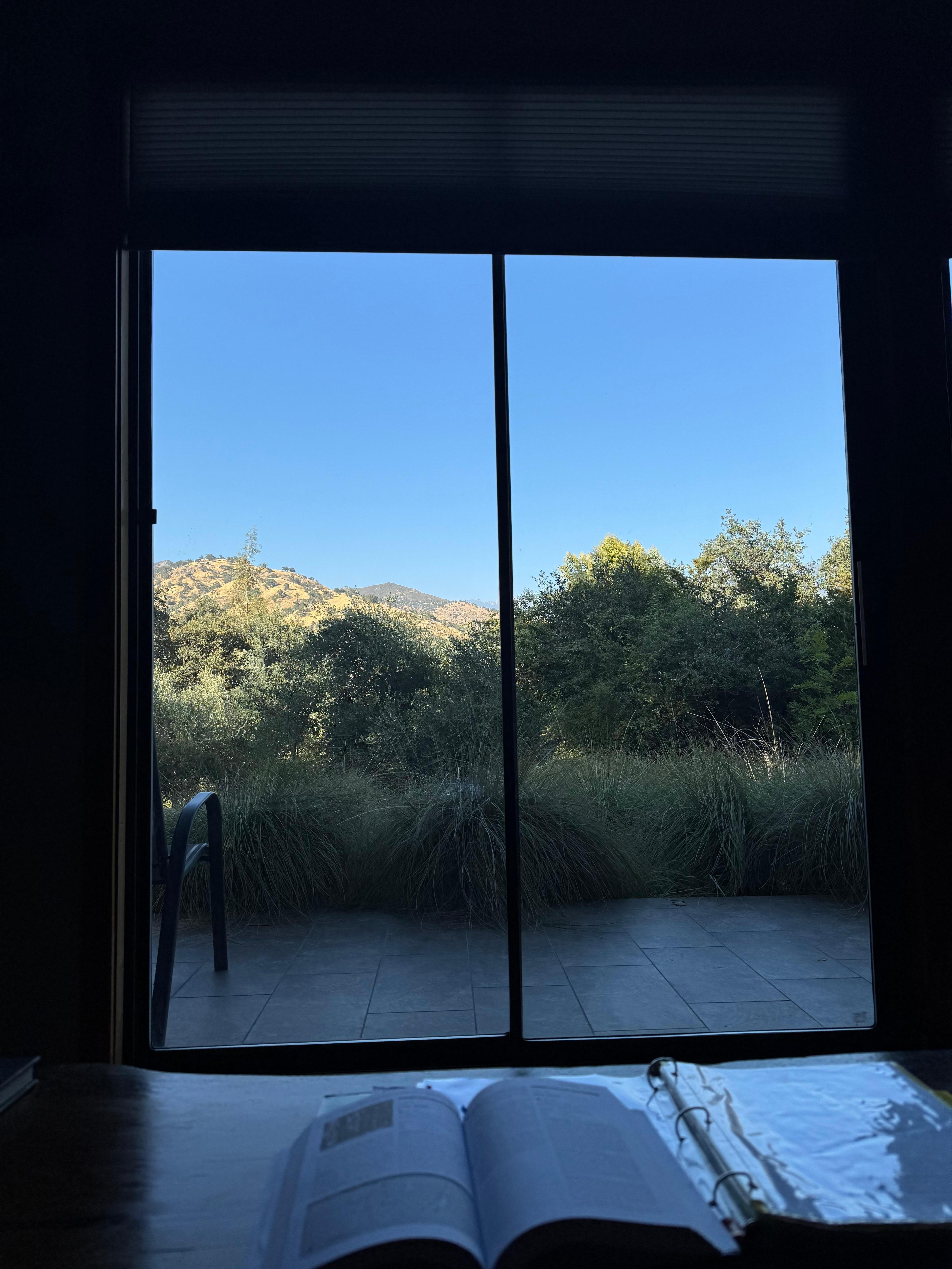 View from living room 