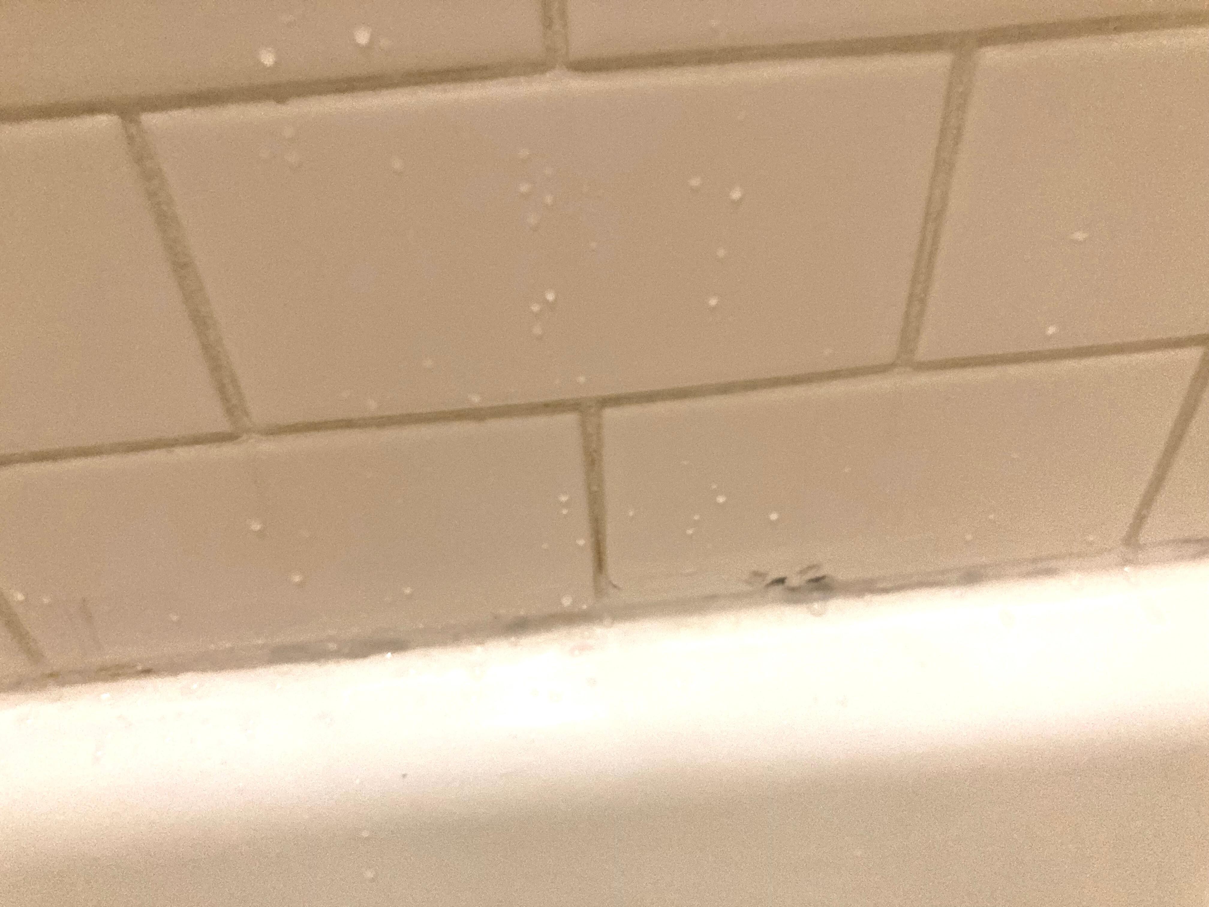 Discolored grout at bathtub edge 
