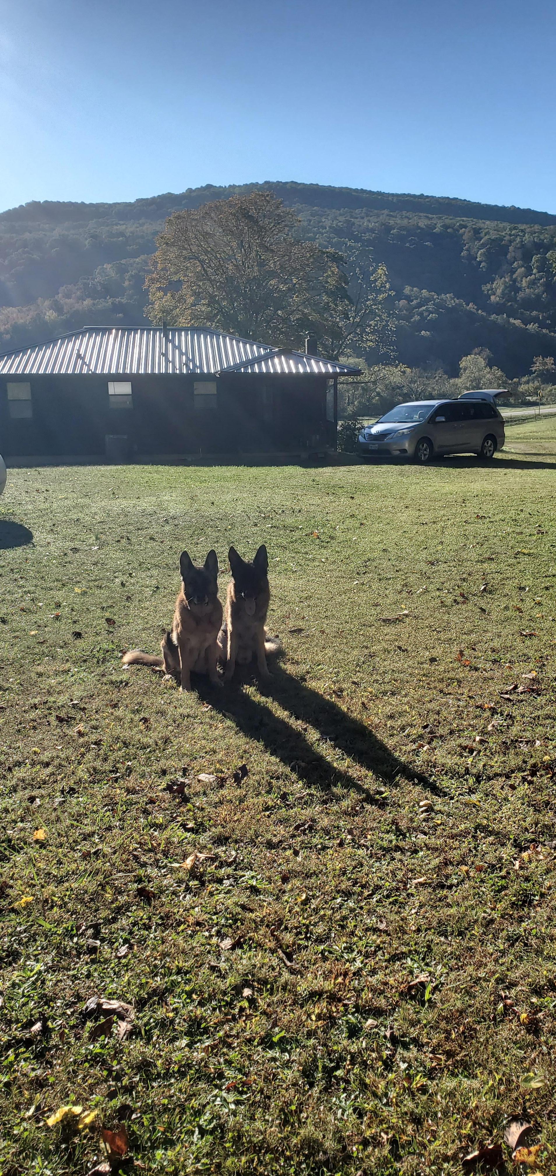 Our dogs loved running on the property and the view was spectacular!  It was also convenient to where the elk usually were, but unfortunately, the elk were not very cooperative this year