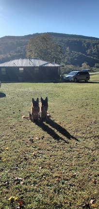 Our dogs loved running on the property and the view was spectacular! It was also convenient to where the elk usually were, but unfortunately, the elk were not very cooperative this year