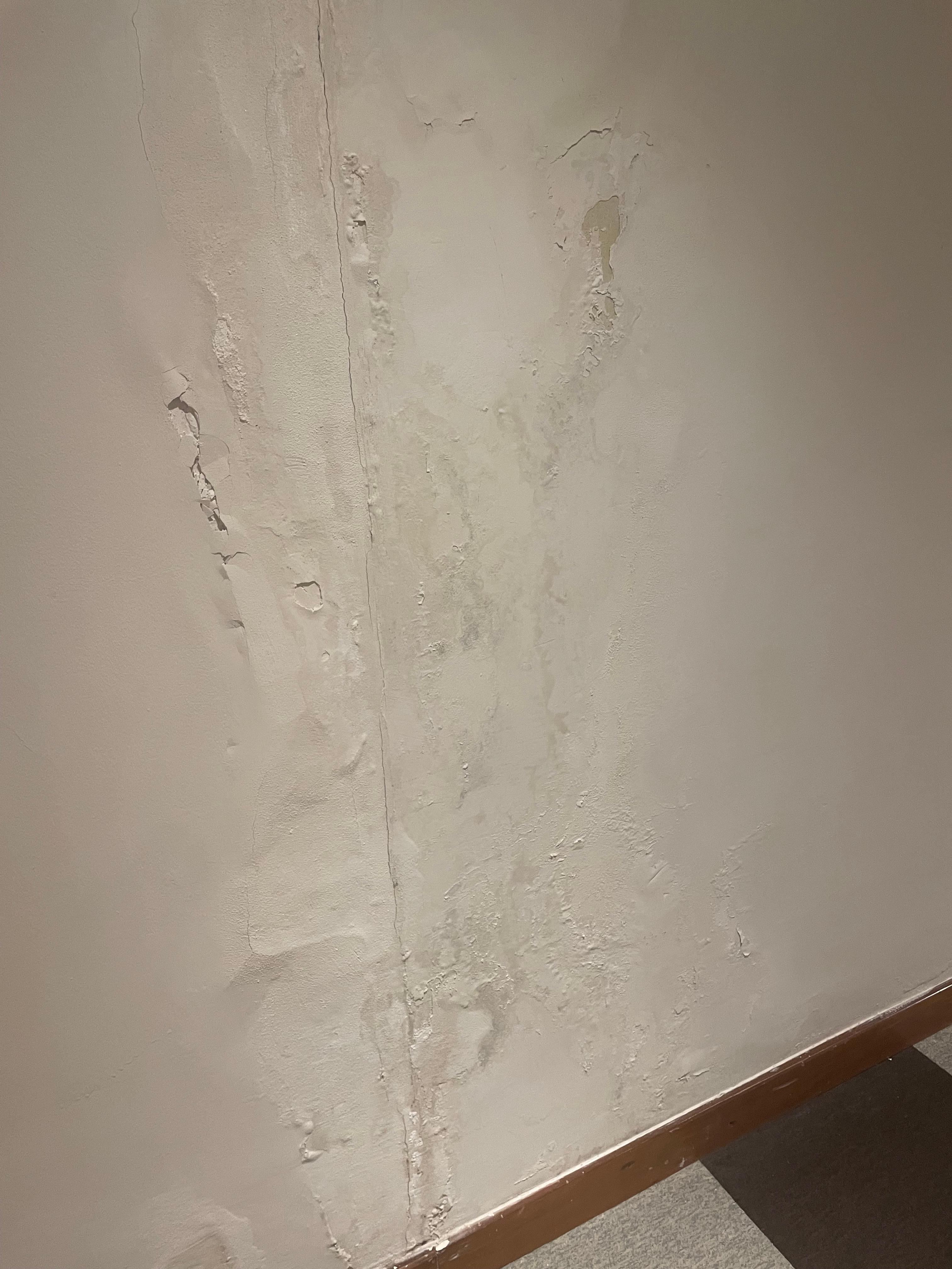 Flaking damaged wall on corridor, looked like it had been a water leak
