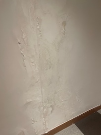 Flaking damaged wall on corridor, looked like it had been a water leak