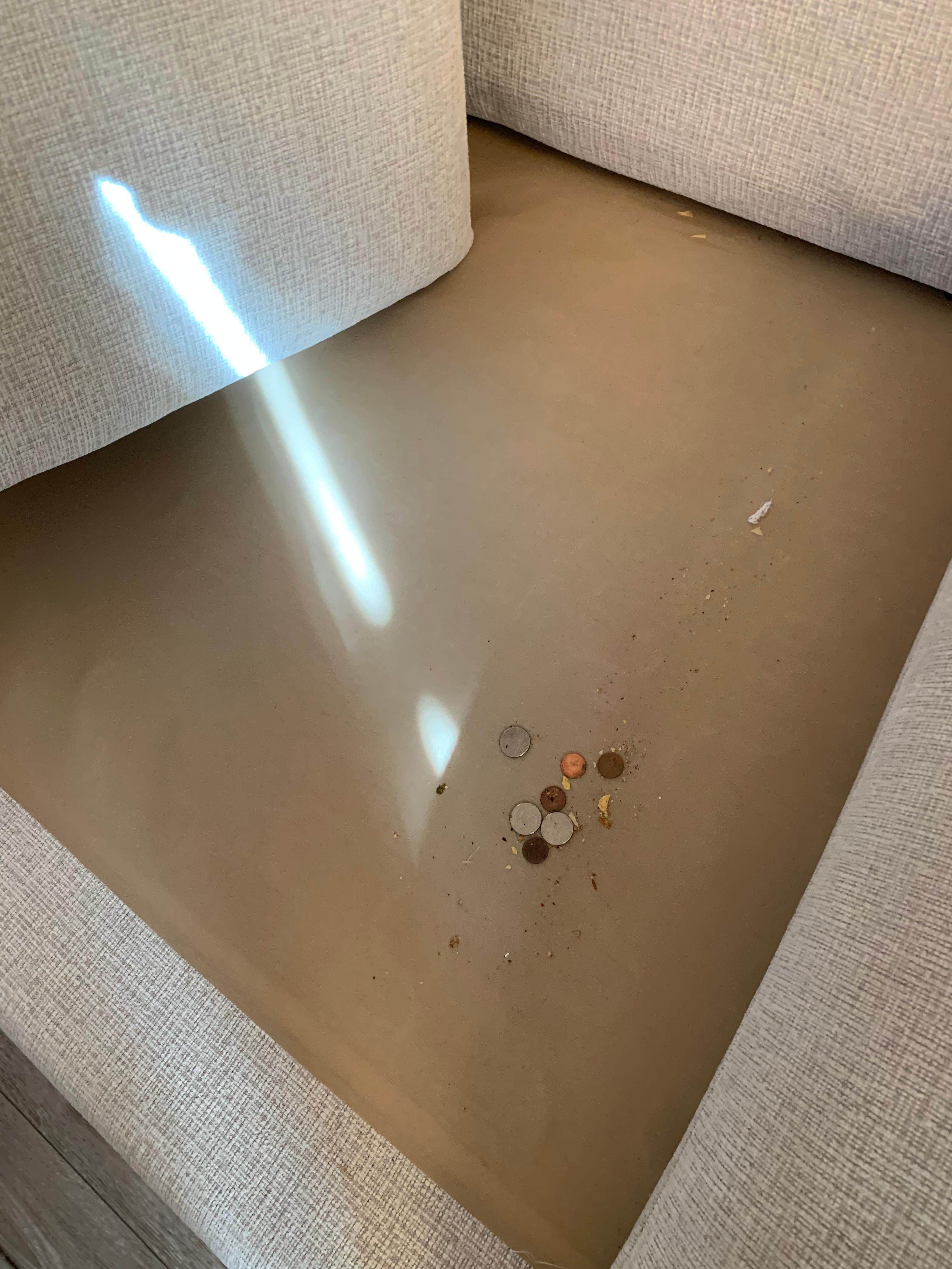 under the couch cushions