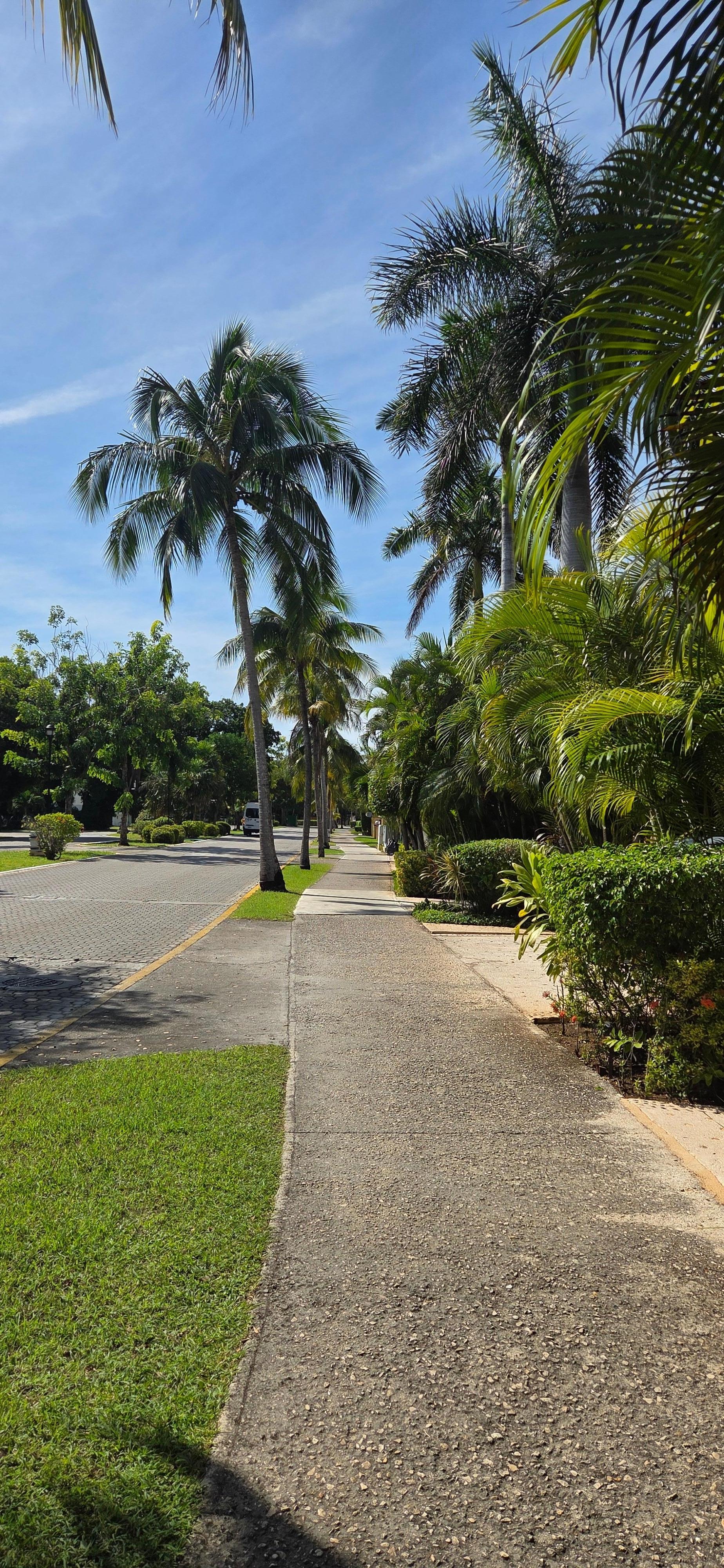 Great area for going for walks or riding bike.