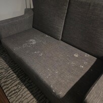 Moldy couch