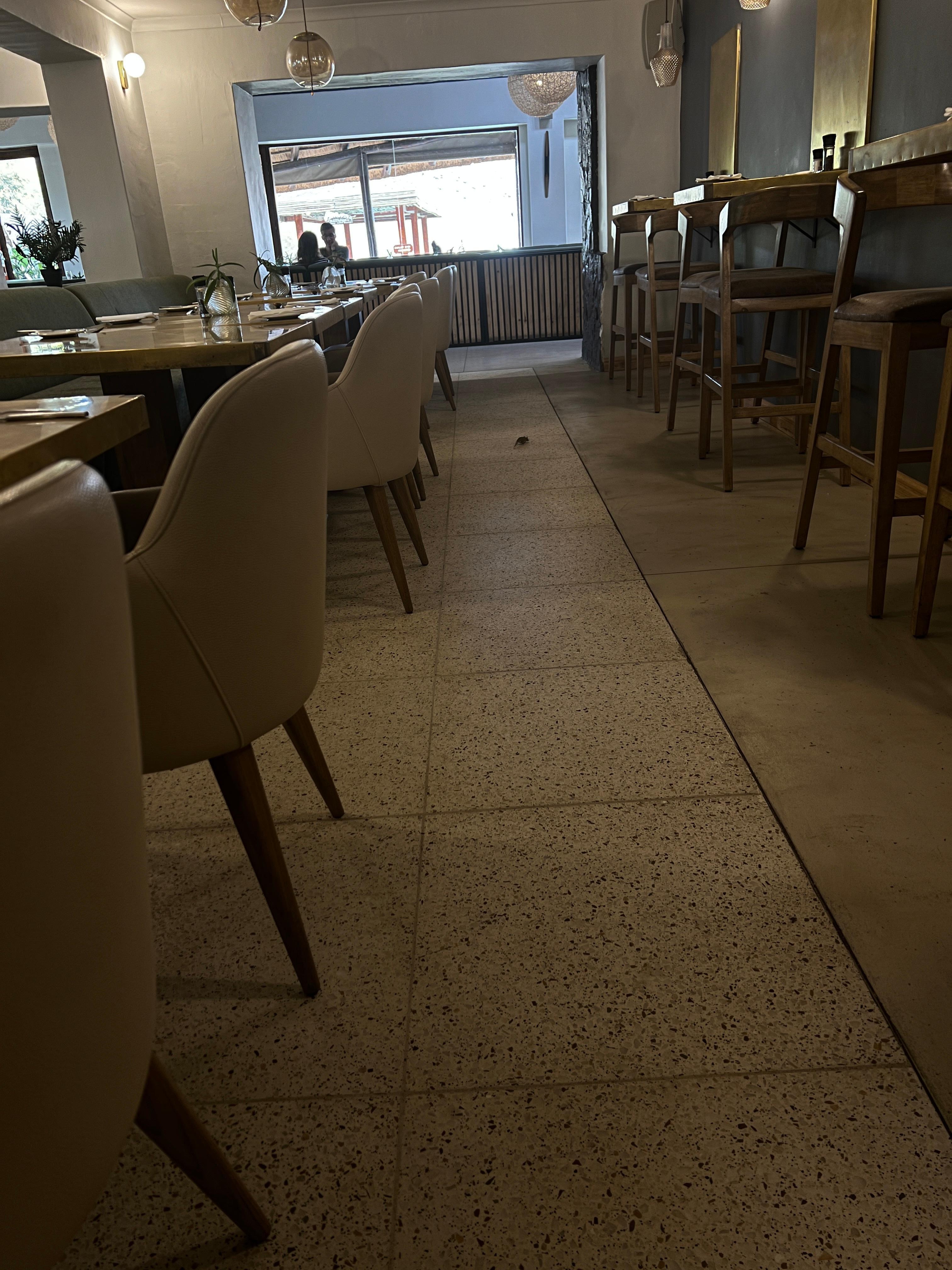 Rats were roaming around all 6 times we were in the dining area