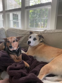 “Ducky and Rory” Just chilling