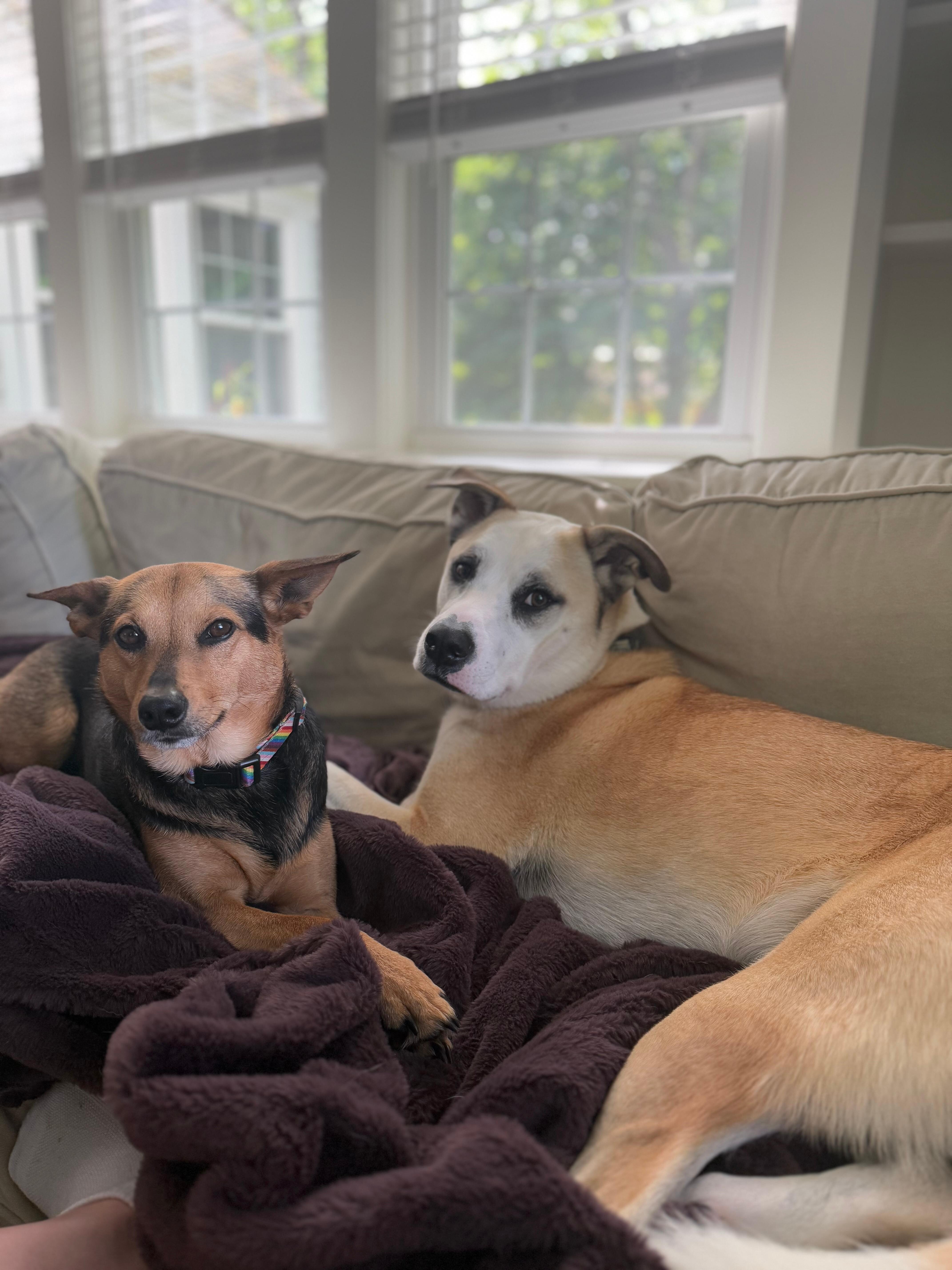 “Ducky and Rory” Just chilling 