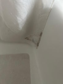 Mold on shower curtain