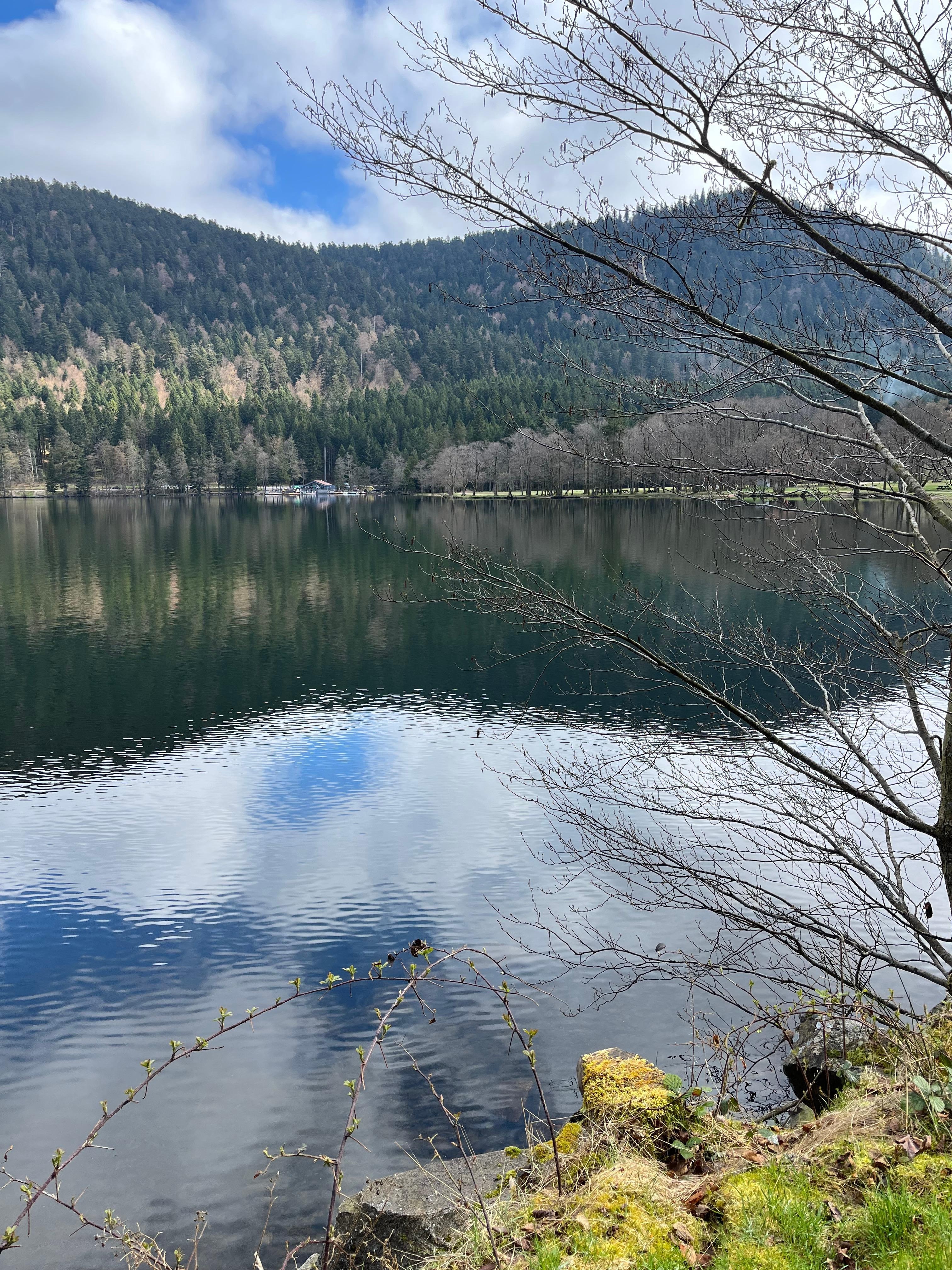 Lac de Longemer 