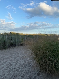 Beautiful beaches!