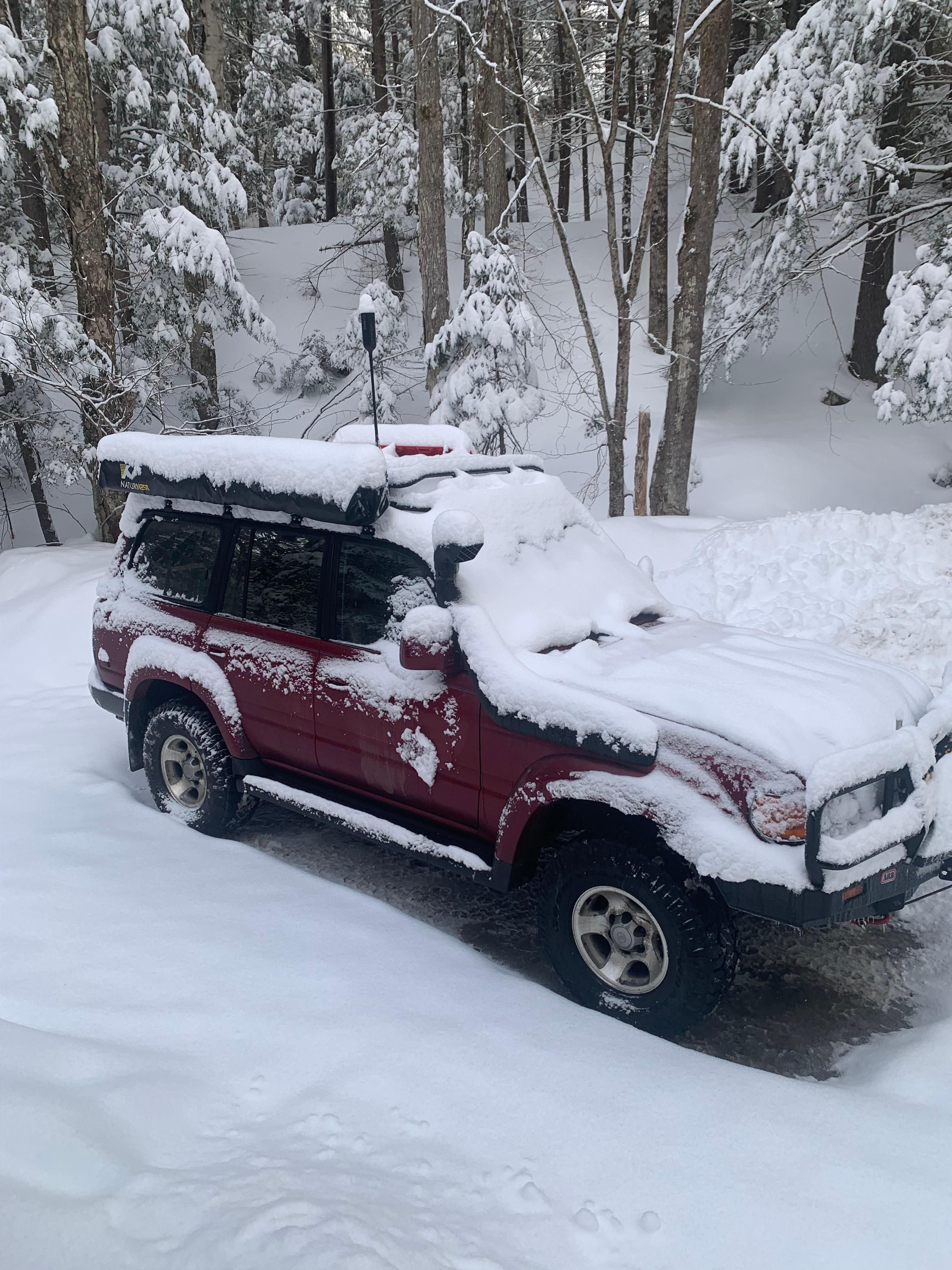 Added bonus: overnight snowstorm