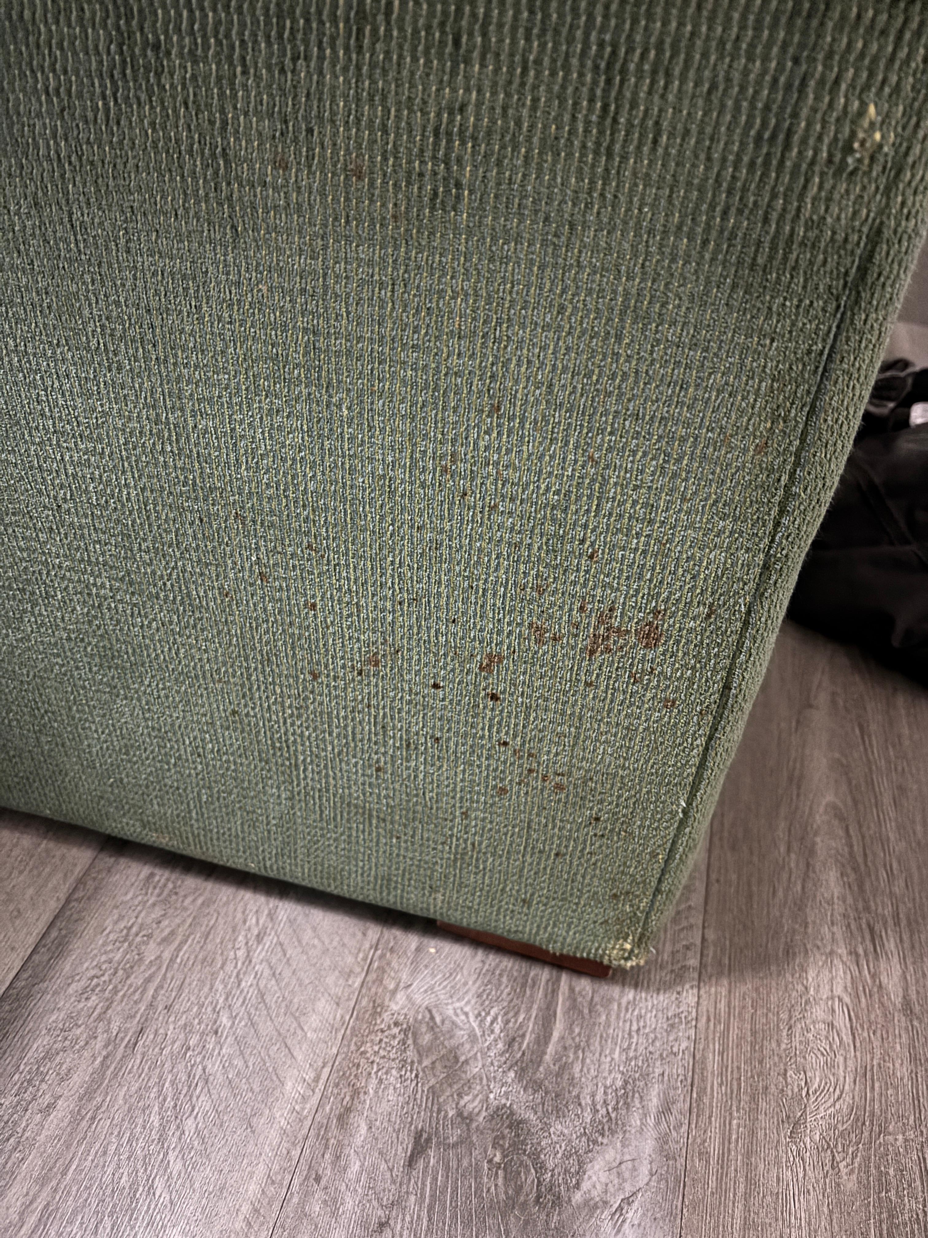 Questionable substance on furniture - I’d like to hope it’s not blood
