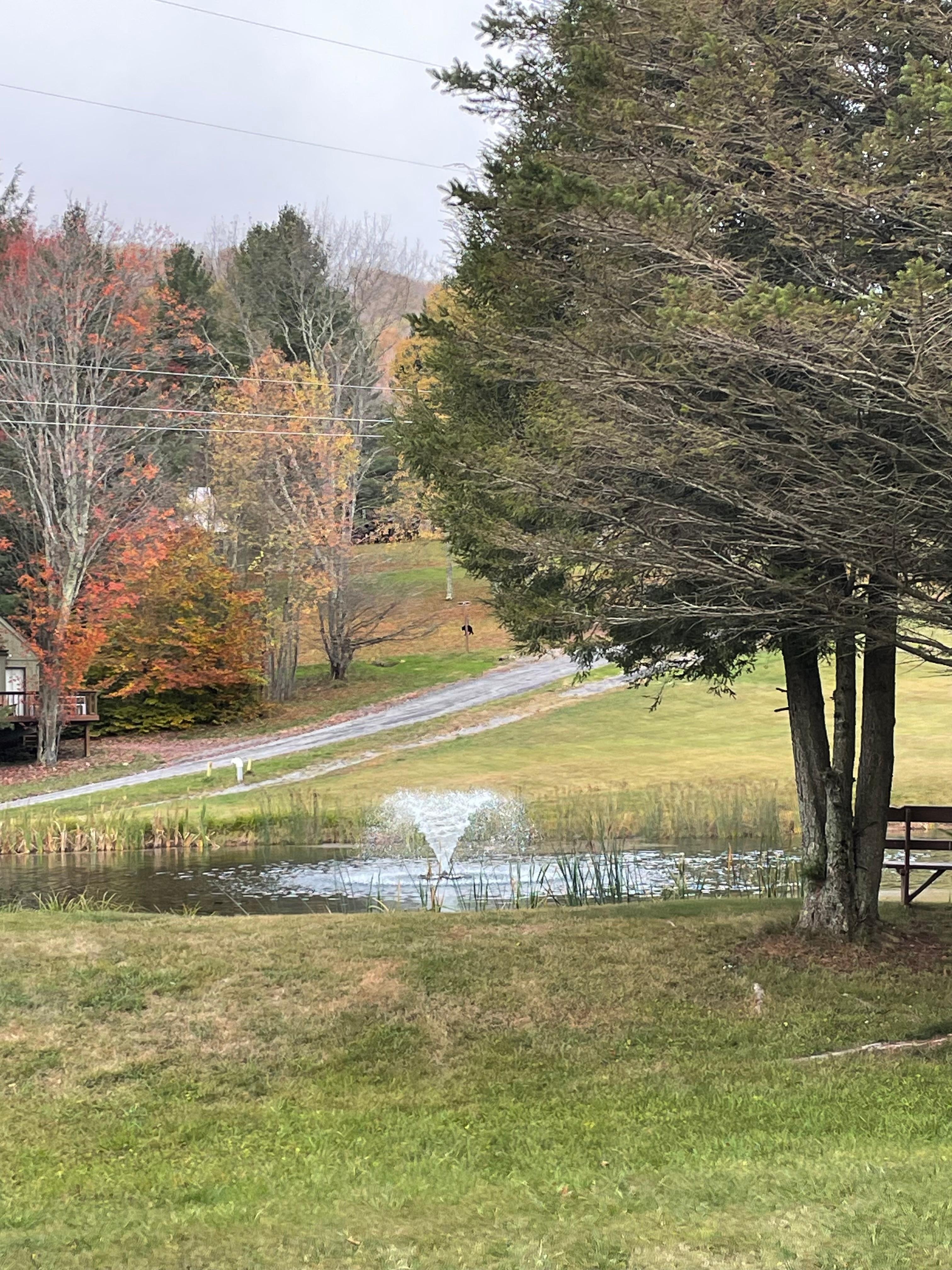 Grounds of Black Bear Resort