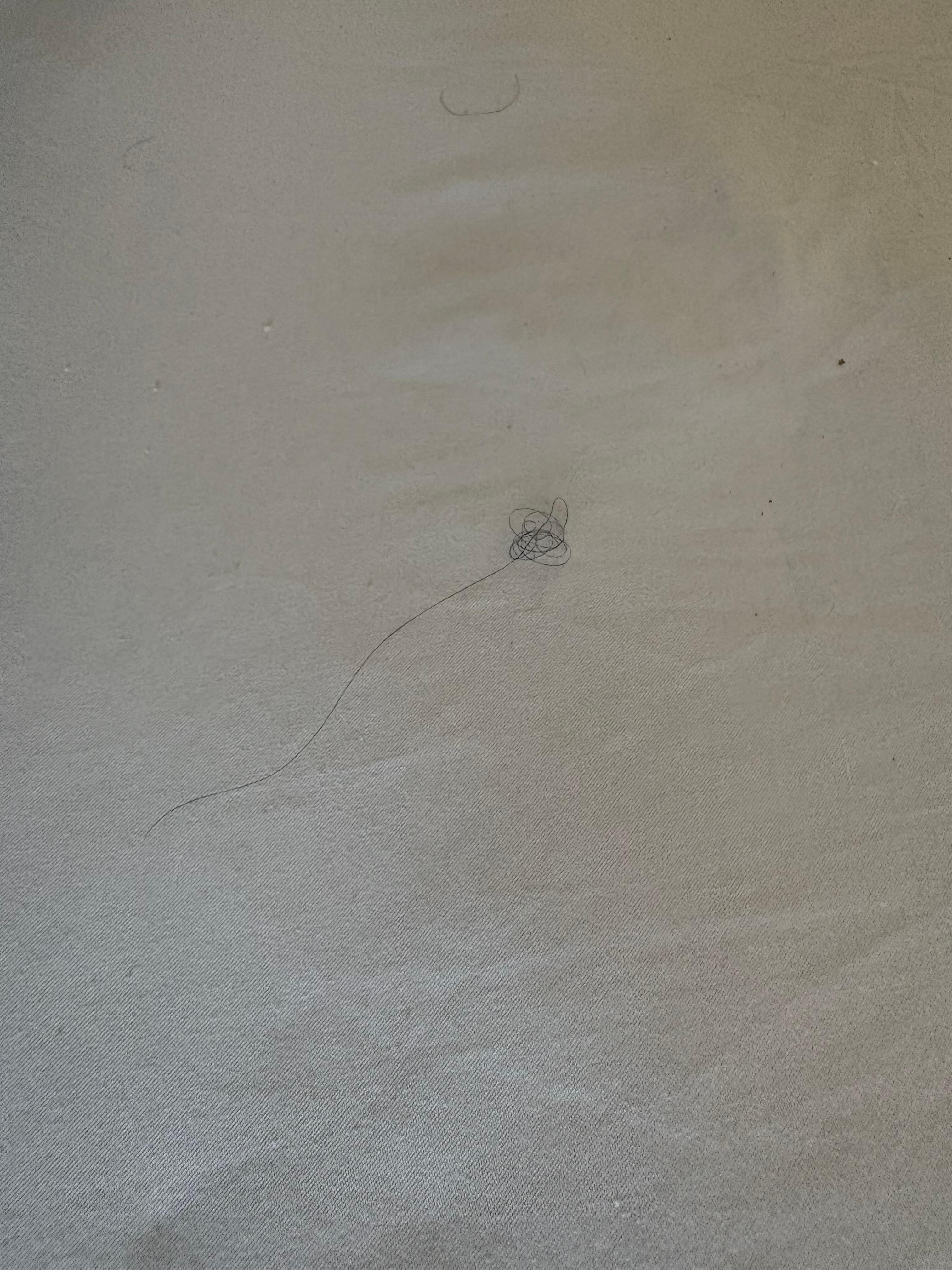 Pubic Hair
