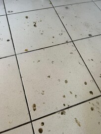 Dirty floor outside dining area