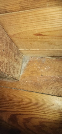 This is just one picture, it was the entire upstairs bedroom