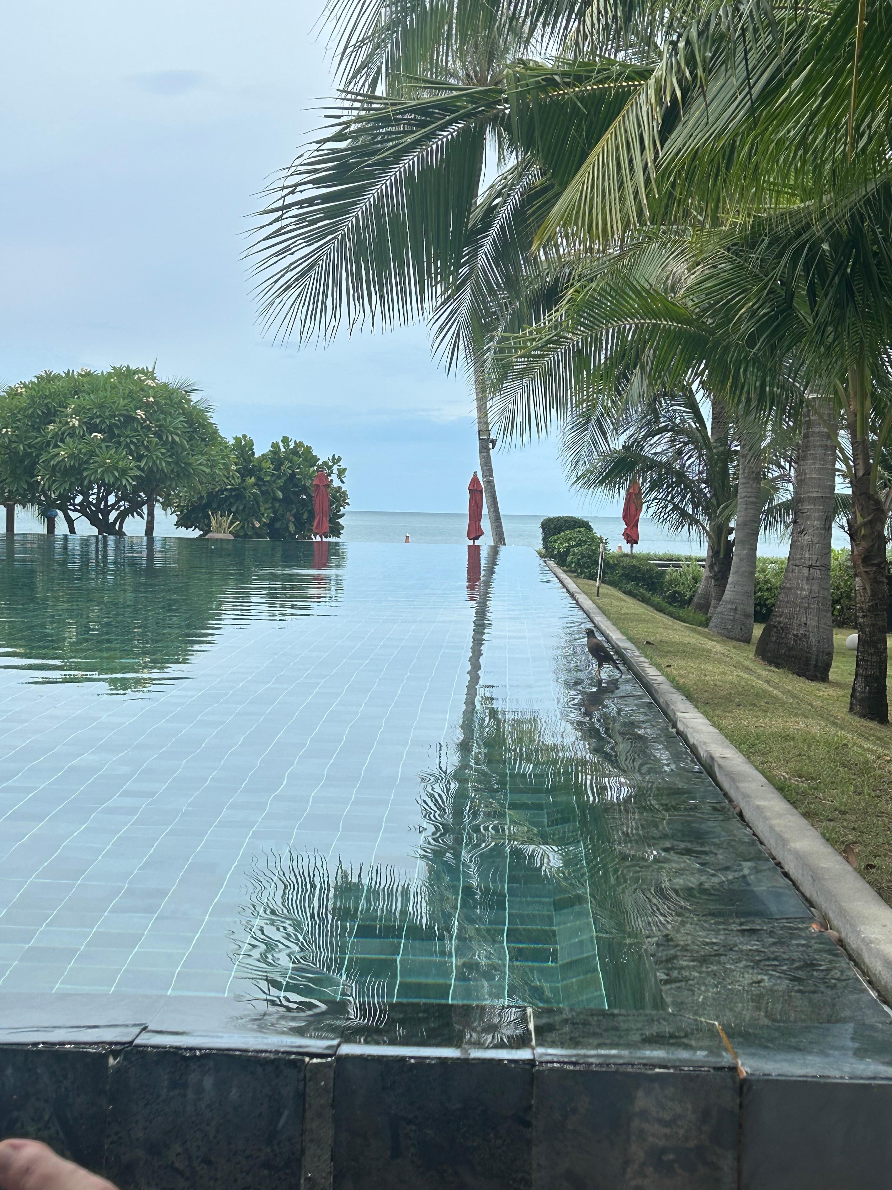 Pool area!