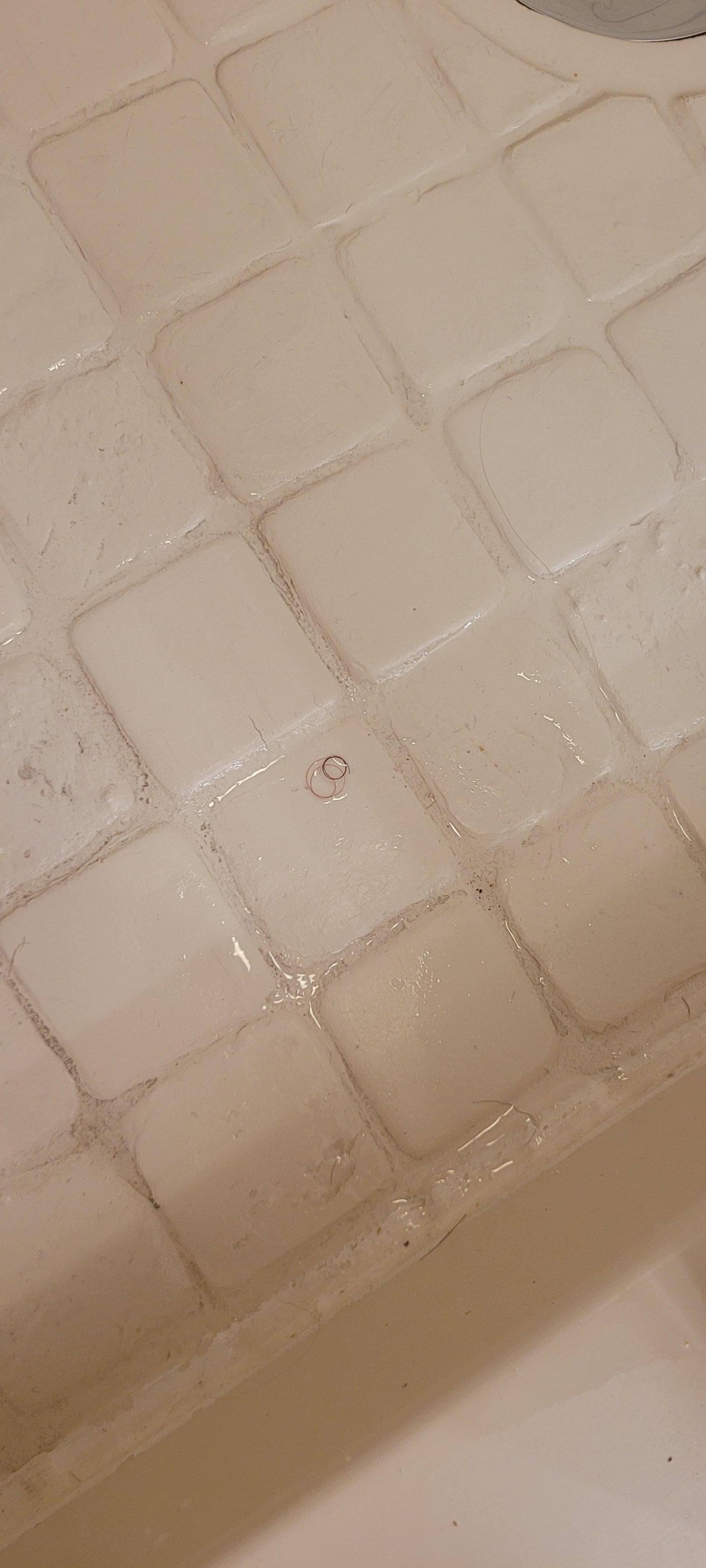 Pubic hair in shower