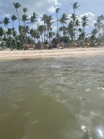 Beach from the water