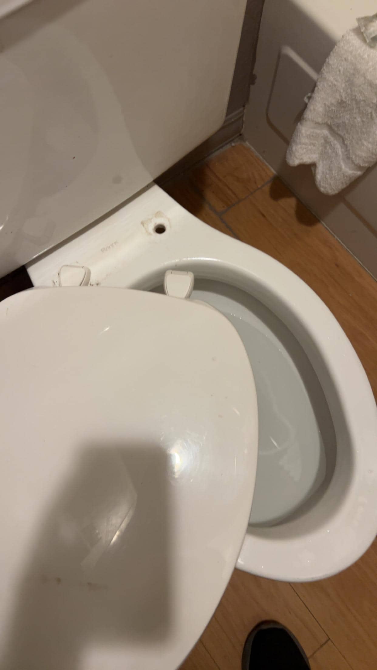 Loose toilet seat