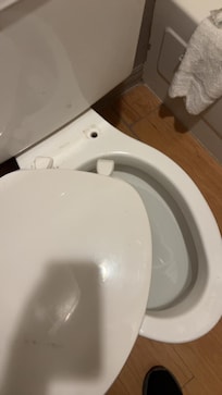 Loose toilet seat