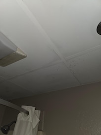 Black mold over shower