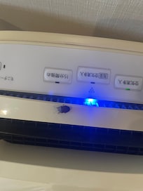 Bugs in room
