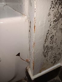 Mold from room 219 picture taken on 08/30/2025