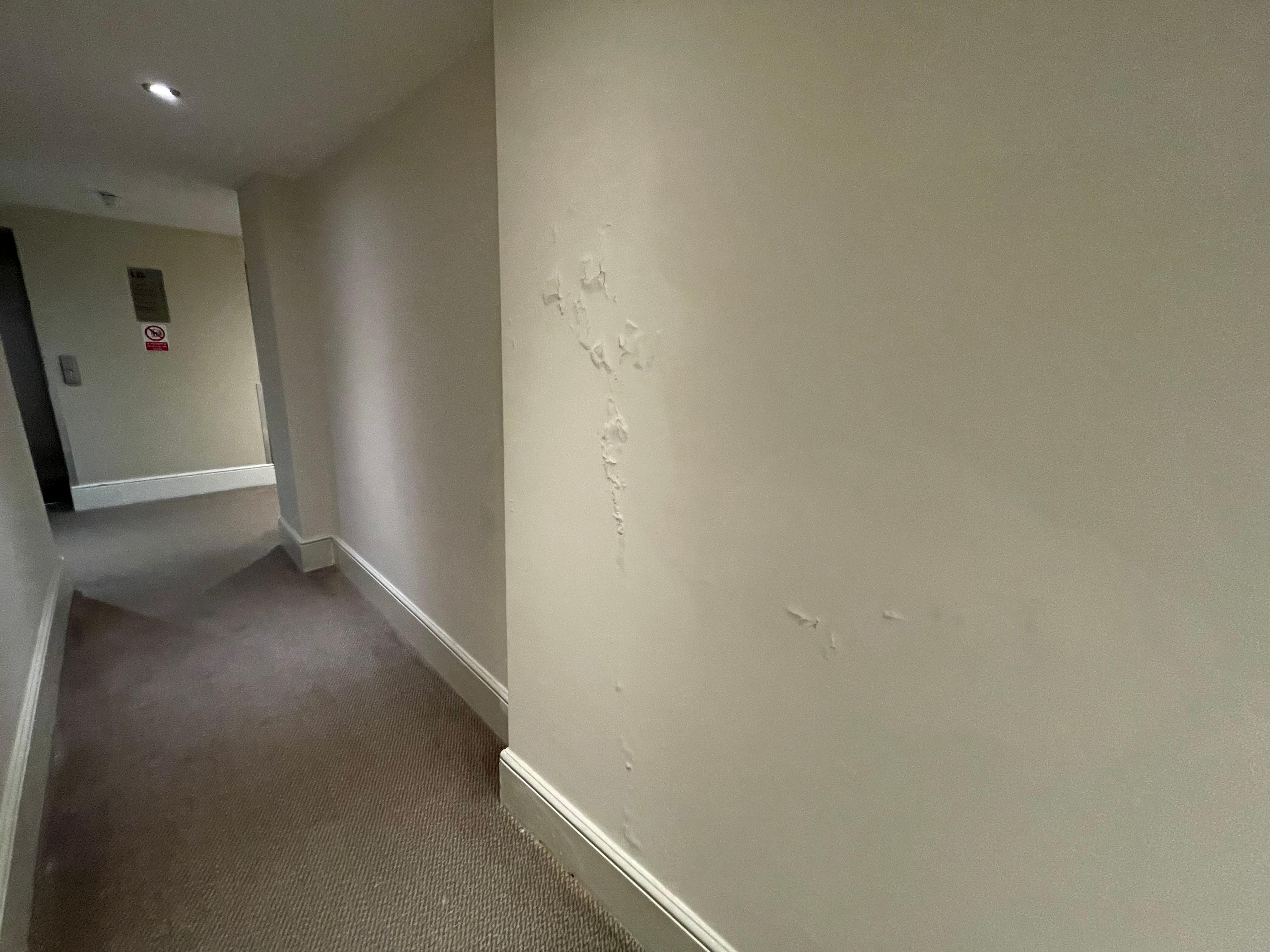 Hallway wall