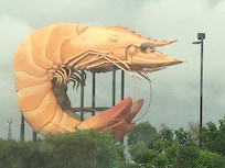The first thing that we noticed visiting - favourite ‘big icon- BIG PRAWN-Balina..
