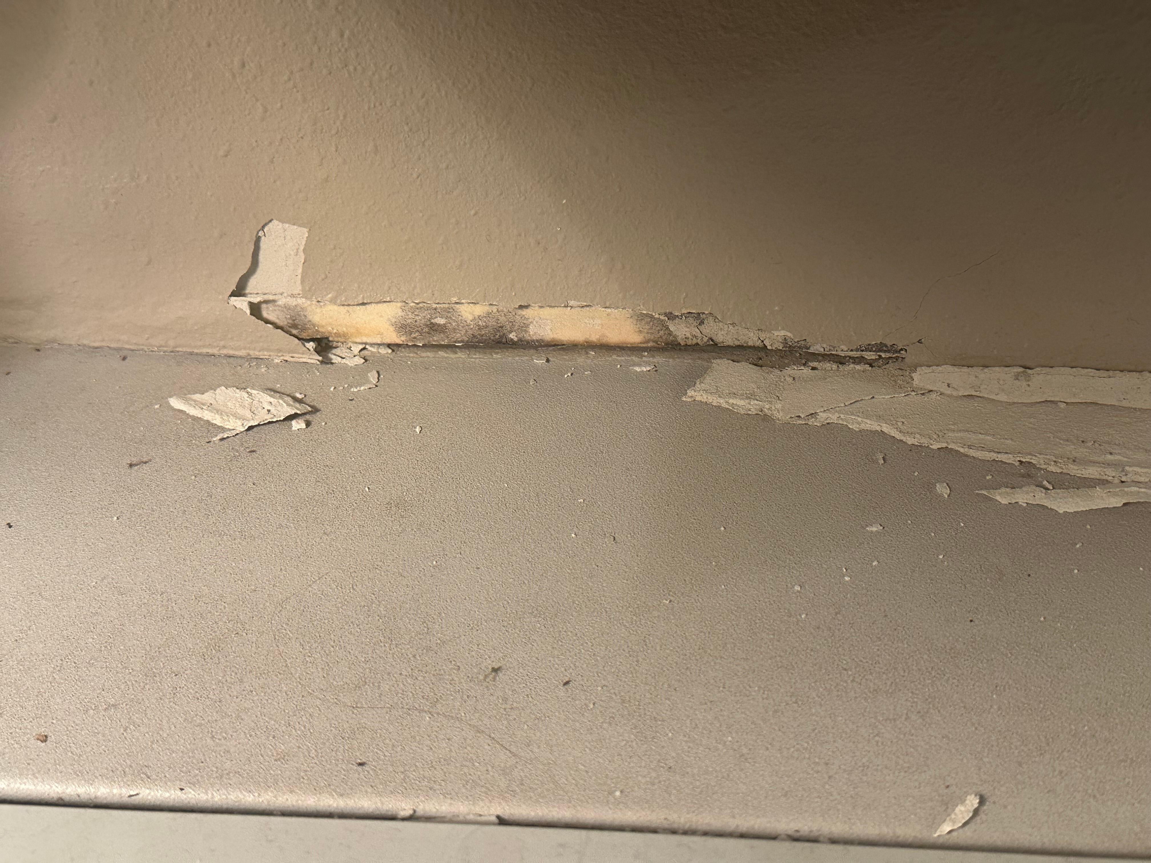 Mold and paint peeling 