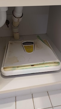 Speckige Körperwaage