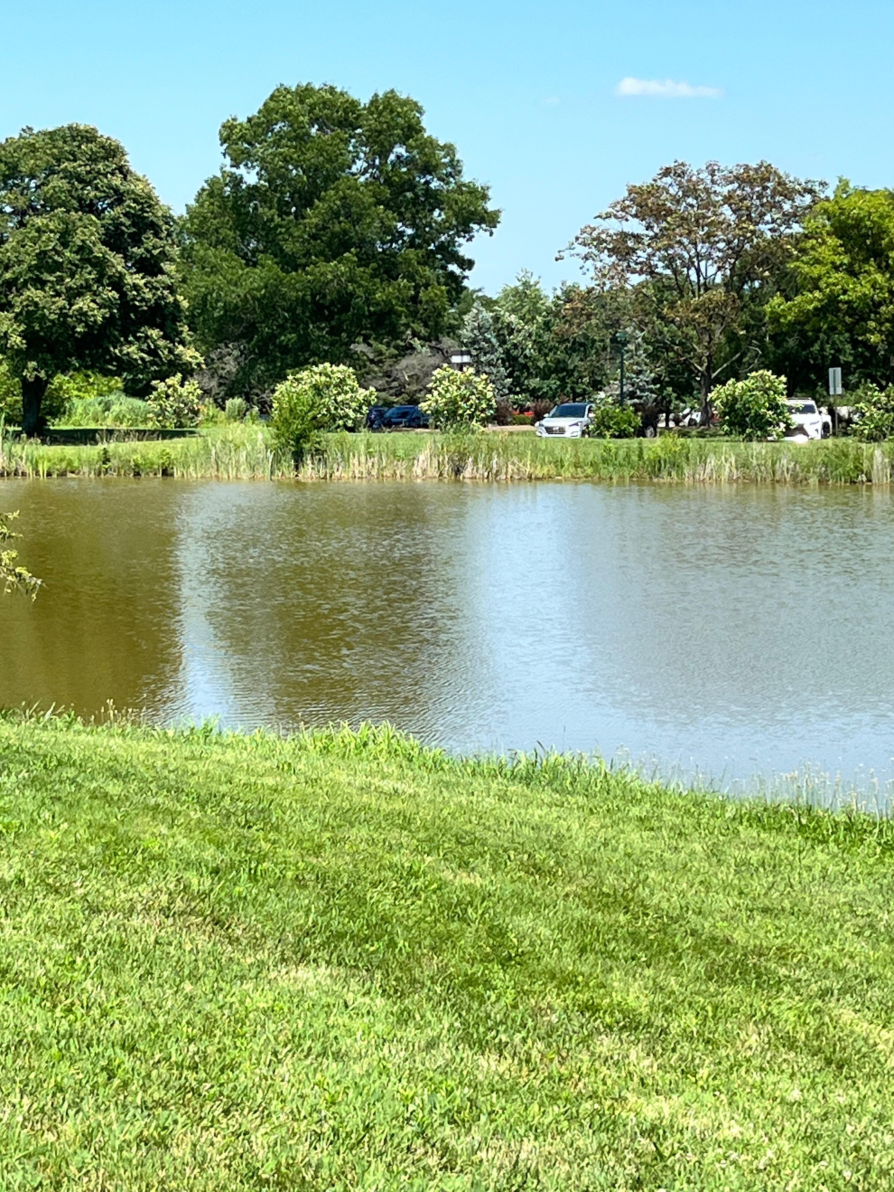 Beautiful view at the nature center