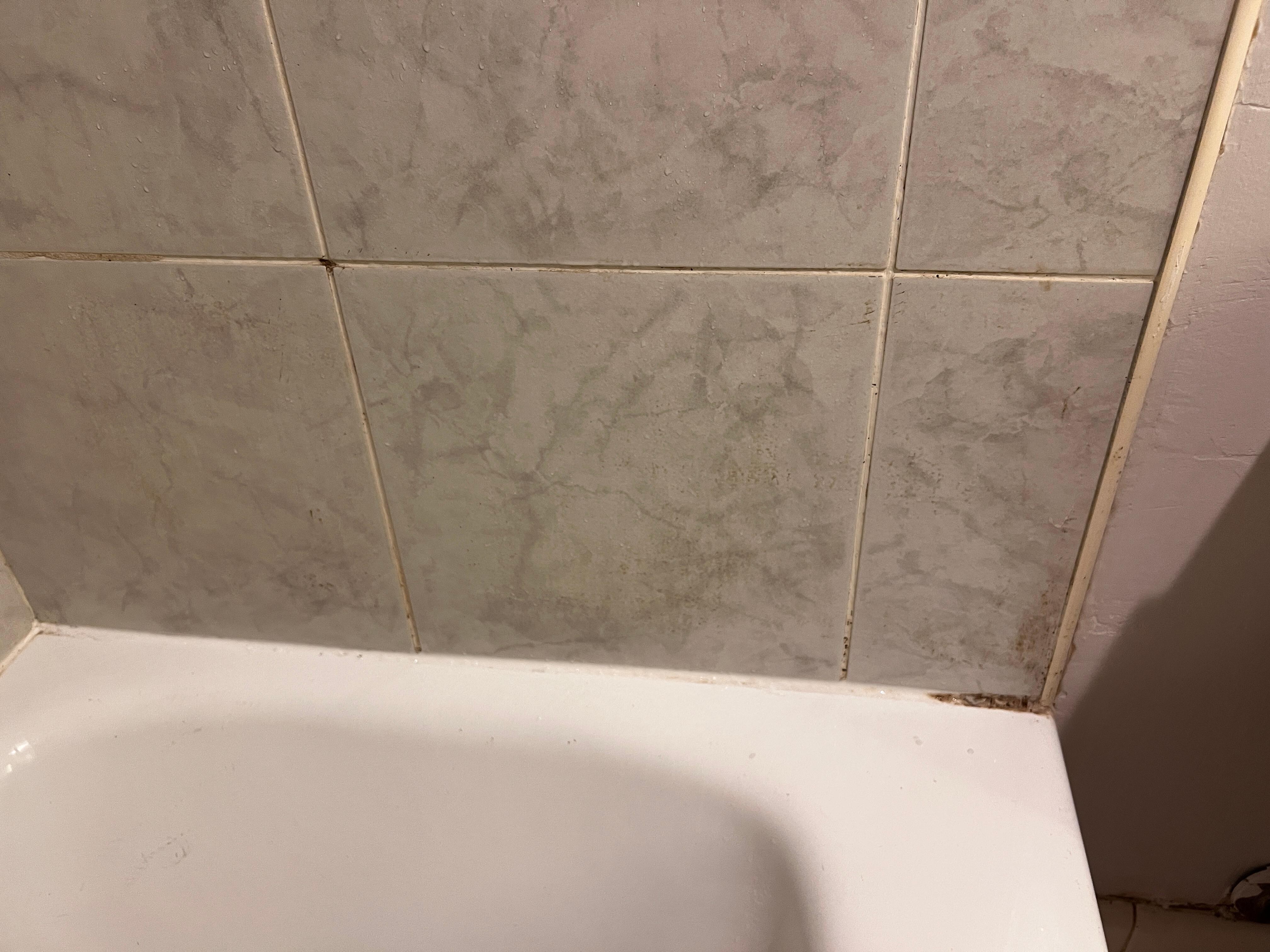 Mold