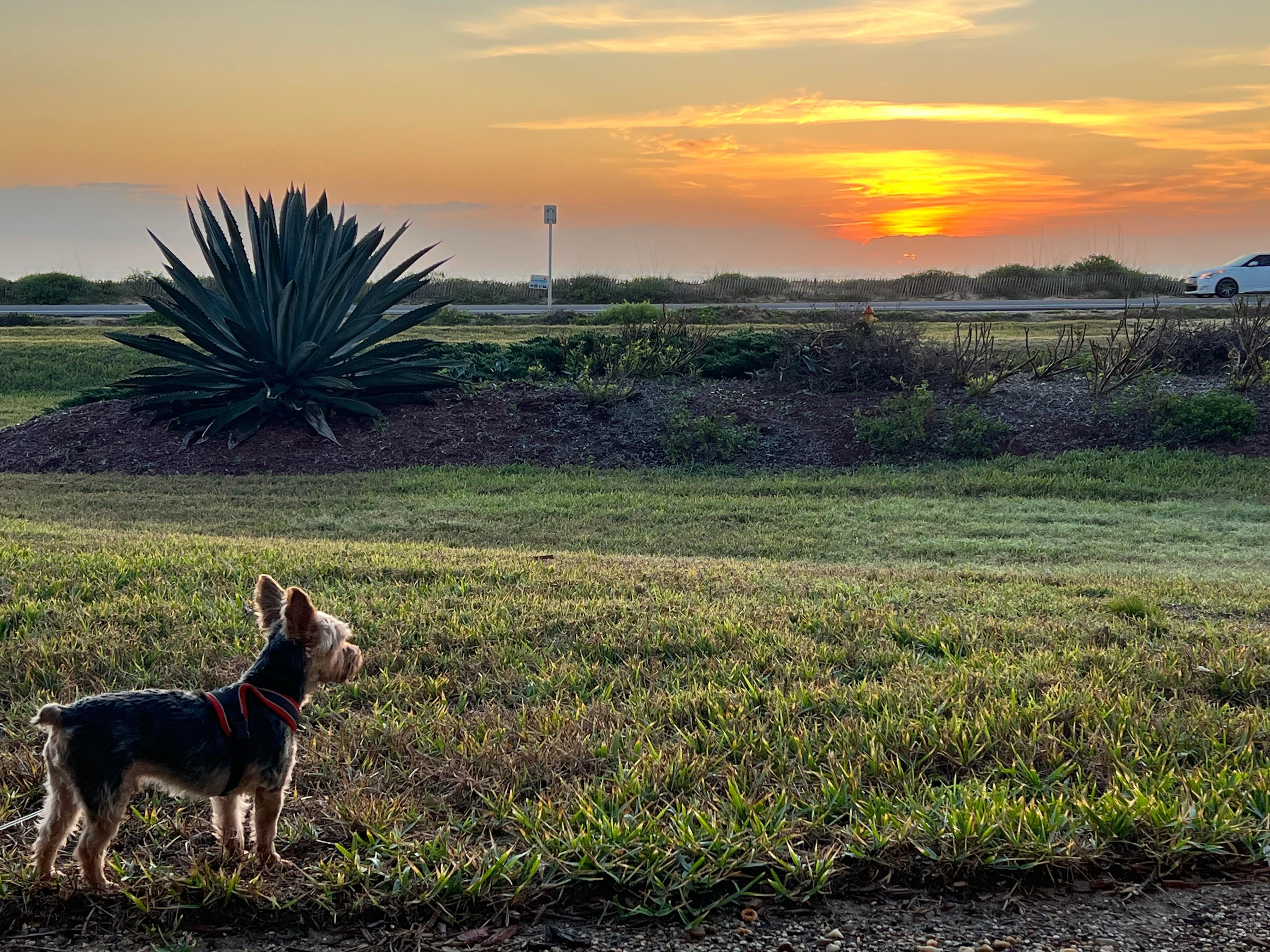 Sunrise view from patio