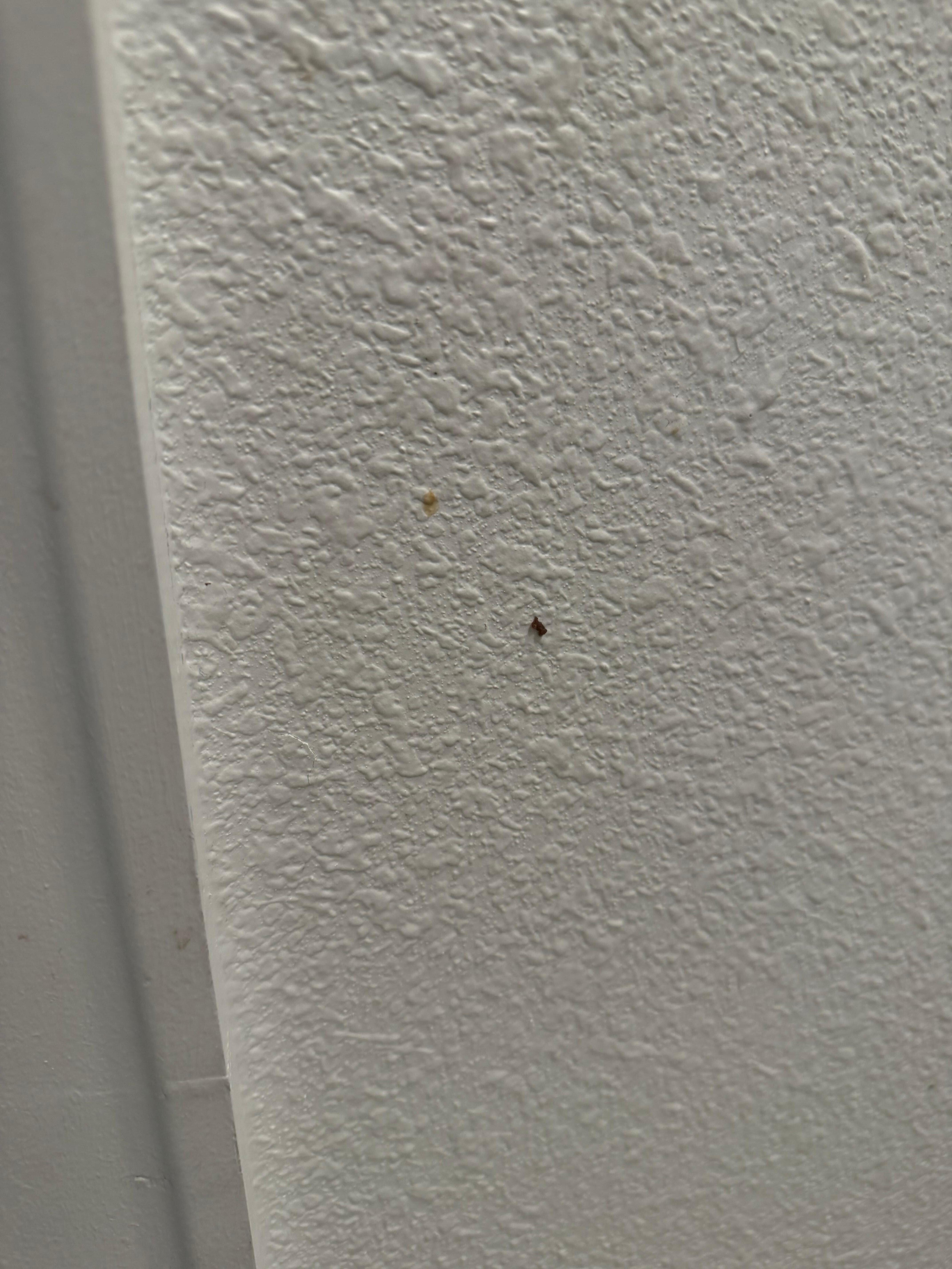 Food and dirt on the walls