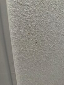 Food and dirt on the walls